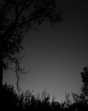 Moonlit Serenity: Black & White Nature Photography Print