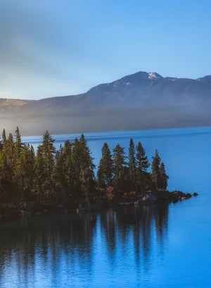Serene Lake Tahoe Forest Print
