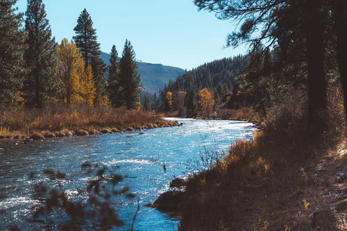 Serenity in Nature: Majestic River Landscape Print