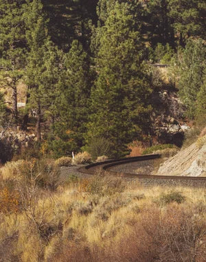 Tranquil Train Track Landscape Print