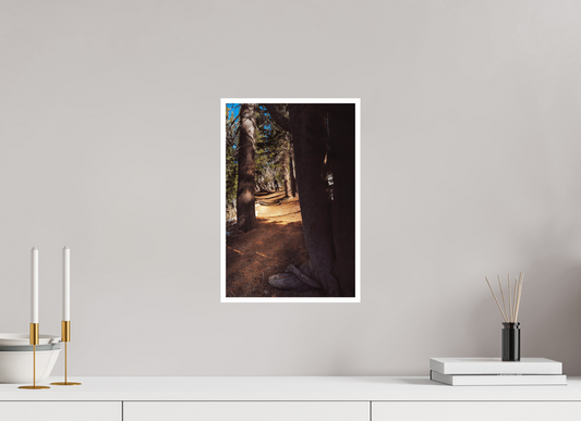 10 x 15″, Fine Art Glossy Enchanted Forest Pathway