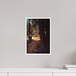 10 x 15″, Fine Art Glossy Enchanted Forest Pathway