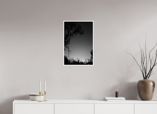 16 x 24″, Fine Art Glossy Moonlit Serenity: Black & White Nature Photography Print