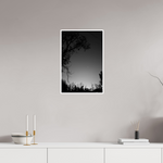 16 x 24″, Fine Art Glossy Moonlit Serenity: Black & White Nature Photography Print