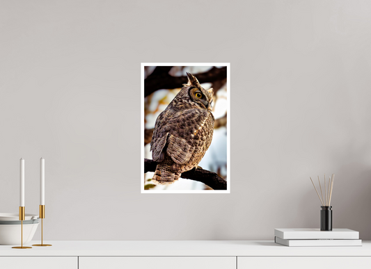 10 x 15″, Fine Art Glossy Majestic Great Horned Owl