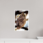 10 x 15″, Fine Art Glossy Majestic Great Horned Owl