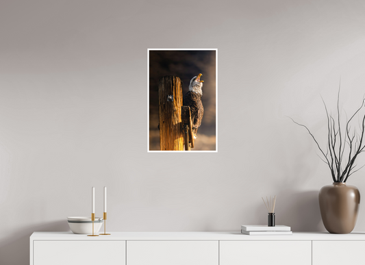 16 x 24″, Fine Art Glossy Majestic Eagle Print