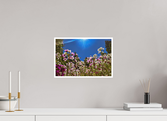 15 x 10″, Photo Print Matte 'Field of Dreams' Floral Art