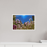 15 x 10″, Photo Print Matte 'Field of Dreams' Floral Art