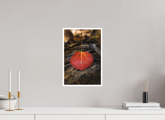 10 x 15″, Photo Print Matte Autumn Essence Leaf Print