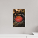 10 x 15″, Photo Print Matte Autumn Essence Leaf Print