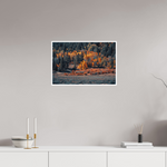 24 x 16″, Photo Print Matte Autumn Serenity Landscape