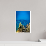 10 x 15″, Fine Art Glossy Lake Tahoe Pure Water