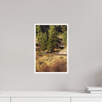 10 x 15″, Fine Art Glossy Tranquil Train Track Landscape Print