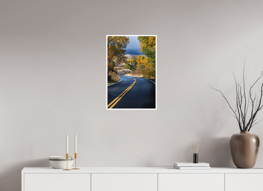 16 x 24″, Photo Print Matte Autumn Roadscape