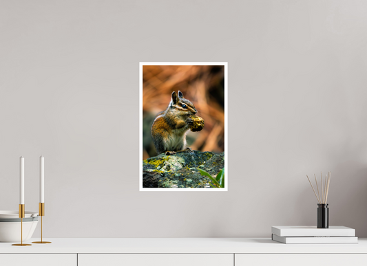 10 x 15″, Photo Print Glossy Charming Chipmunk