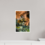 10 x 15″, Photo Print Glossy Charming Chipmunk