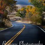 Autumn Roadscape