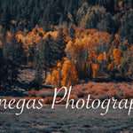 Autumn Serenity Landscape