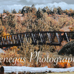 Autumn Serenity Landscape