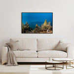 Clear Lake Tahoe Water