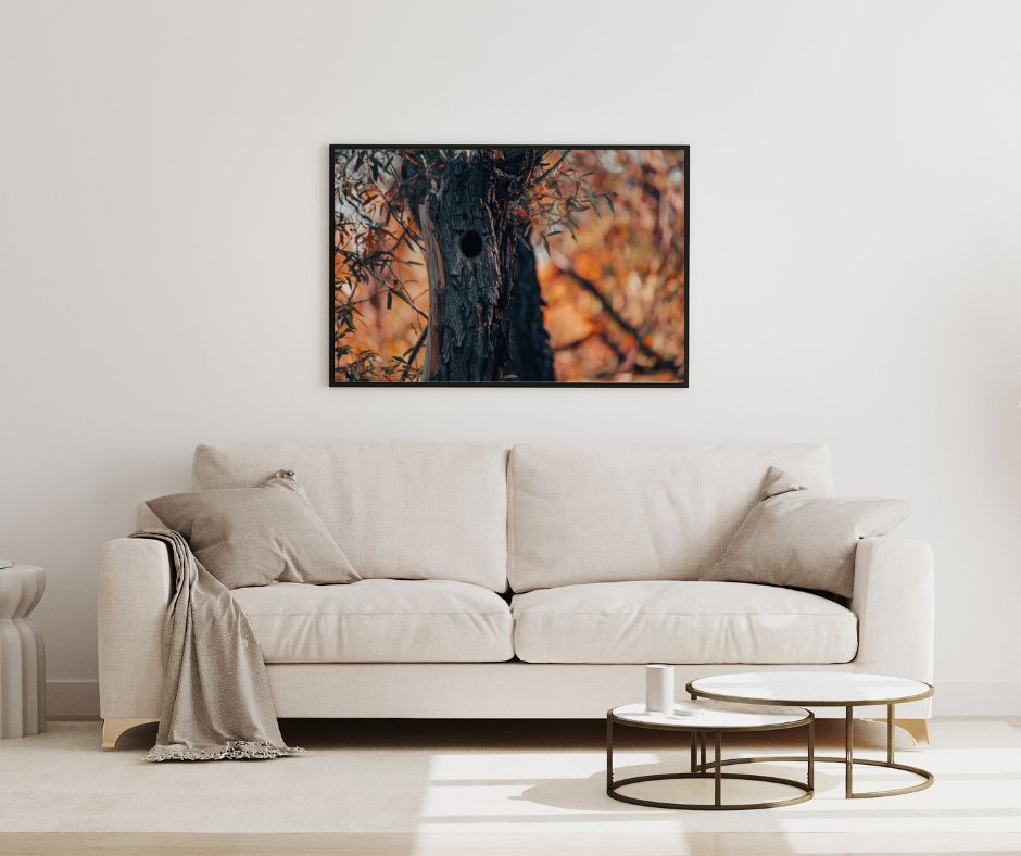 Whispering Woods