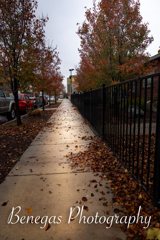 Downtown Reno Rainy Day Print
