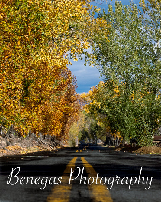 Enchanted Autumn Road