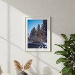 Winter Pine Road