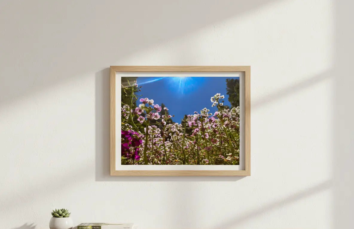 'Field of Dreams' Floral Art