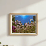 'Field of Dreams' Floral Art