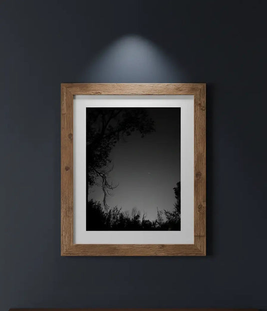 Moonlit Serenity: Black & White Nature Photography Print