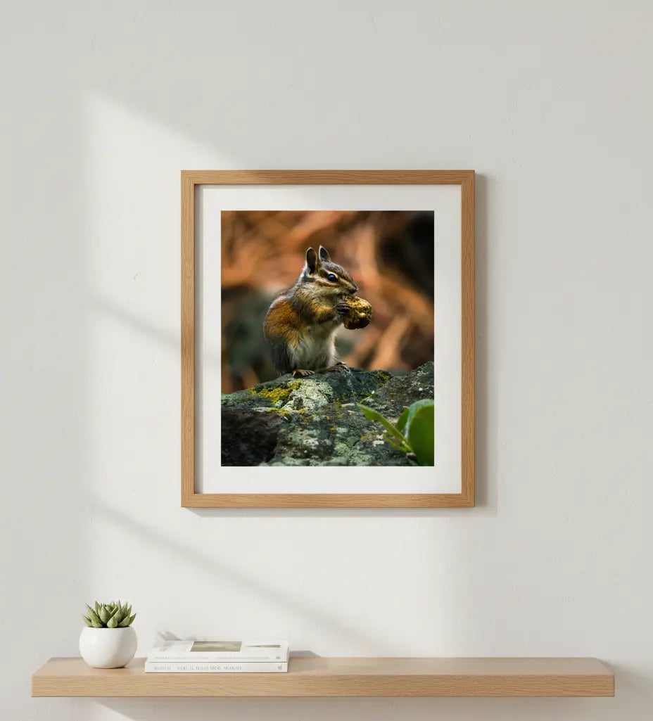 Charming Chipmunk