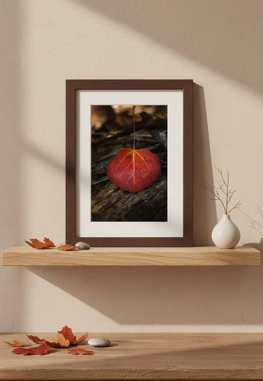 Autumn Essence Leaf Print