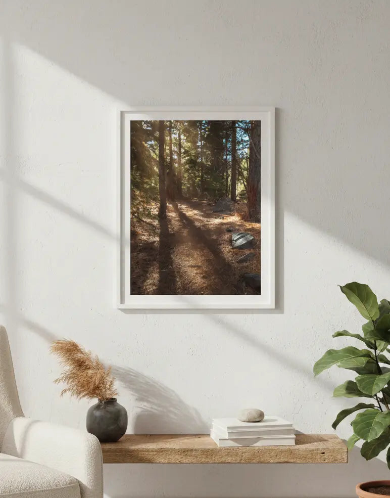 Sunlit Forest Path