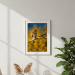 Majestic Coopers Hawk Autumn Morning