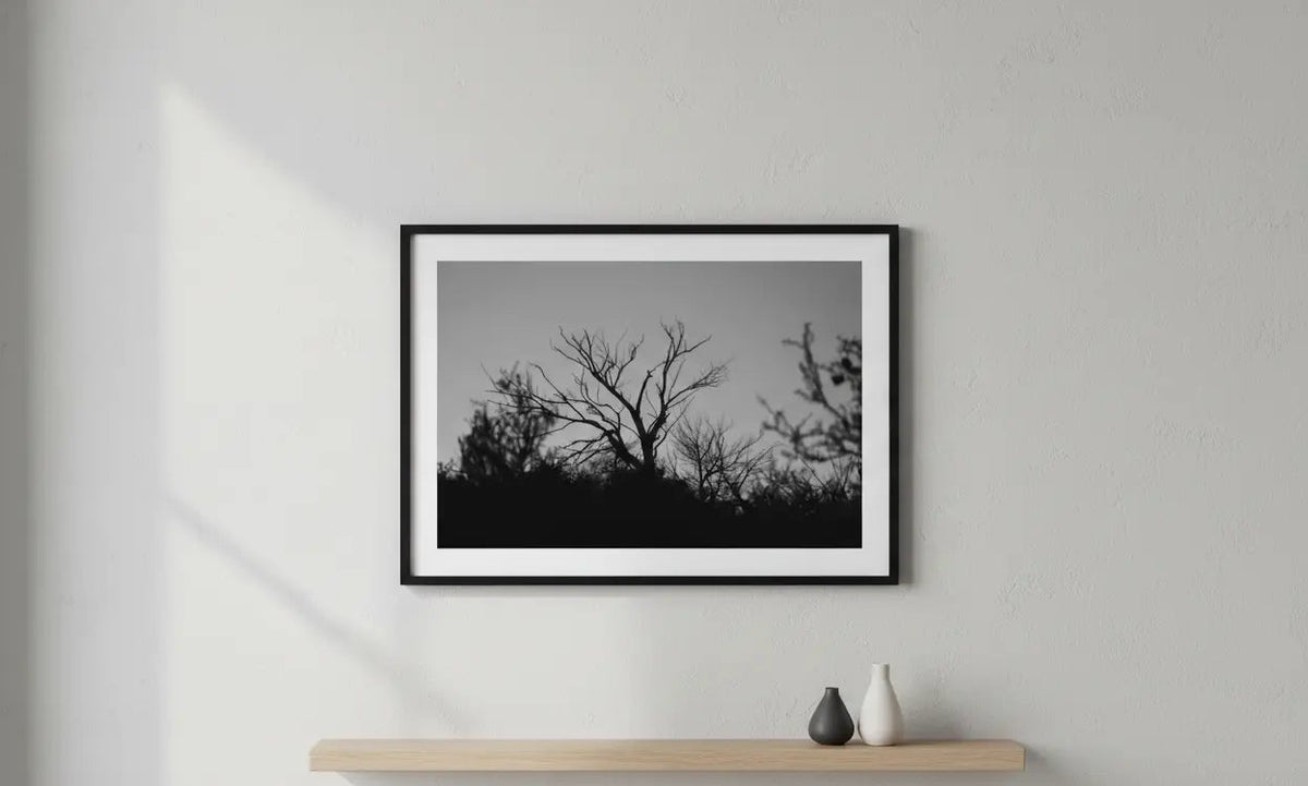 Black and White Tree Silhouette