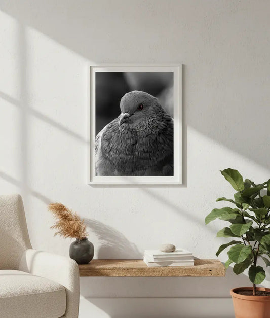 Majestic Pigeon Portrait