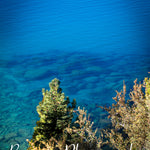 Lake Tahoe Pure Water