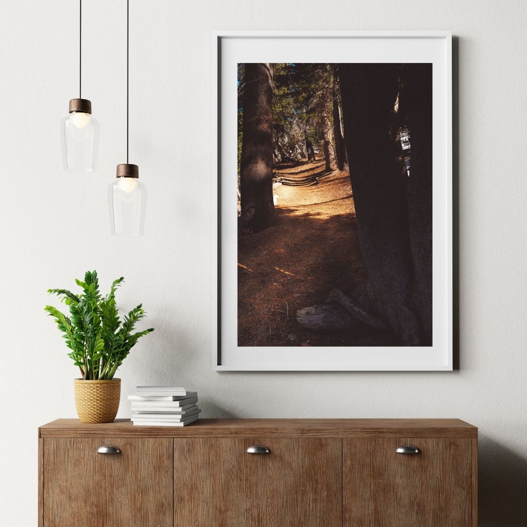 Enchanted Forest Pathway