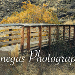 Rustic Bridge in Autumn