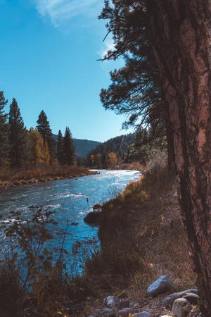 Tranquil River Landscape Print