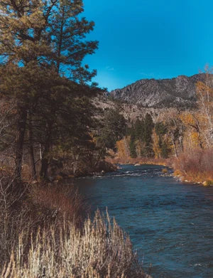 Serene Autumn River Landscape Print