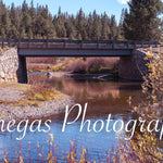 Tranquil River Bridge