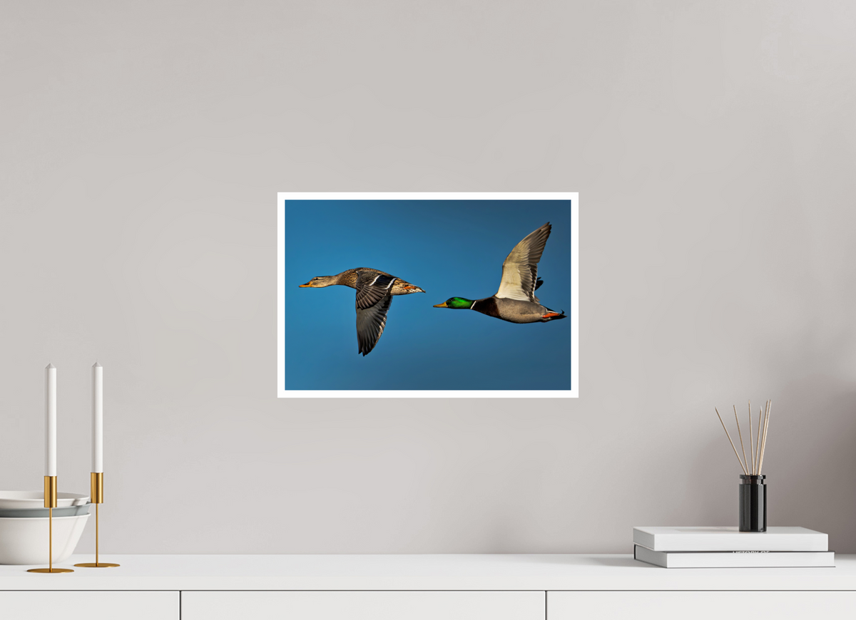 15 x 10″, Fine Art Glossy In Formation