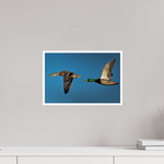 15 x 10″, Fine Art Glossy In Formation