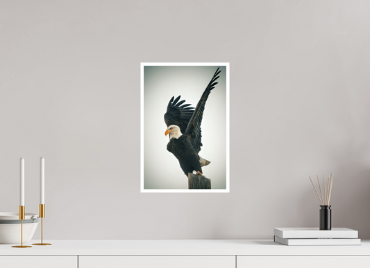 10 x 15″, Fine Art Glossy Unchallanged