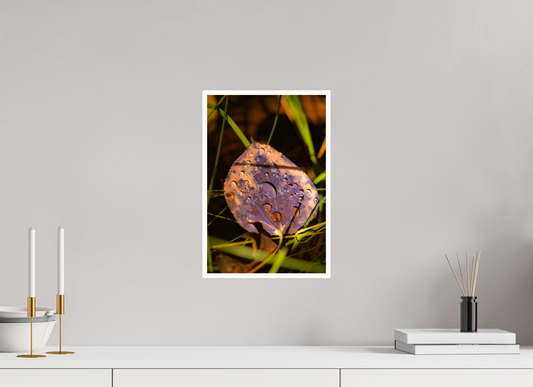 10 x 15″, Fine Art Glossy Dew-Kissed Leaf