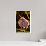 10 x 15″, Fine Art Glossy Dew-Kissed Leaf