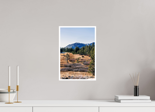 10 x 15″, Fine Art Glossy Tahoe Meadows Scenic Print